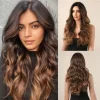 Chestnut Brown Long Wave Wig Middle Part Synthetic Wig for Women Omrbe Brown Natural Looking Hair Daily Use Heat Resistant Fiber